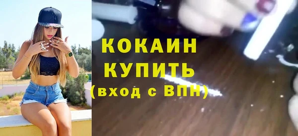 PSILOCYBIN Карталы