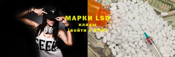 PSILOCYBIN Карталы