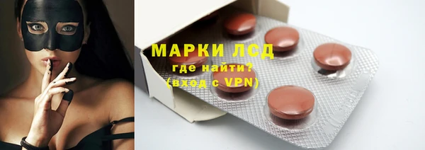 PSILOCYBIN Карталы