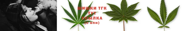 2c-b Каменка