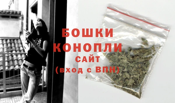 PSILOCYBIN Карталы