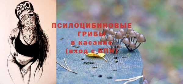 марихуана Каменногорск