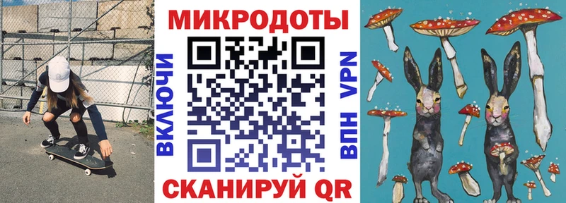 Псилоцибиновые грибы мицелий  сколько стоит  KRAKEN ССЫЛКА  Ессентуки 